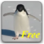 full of penguins free android application logo